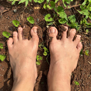Jejak — Peni Candra Rini