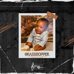 Grasshopper by Sarg