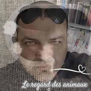 Titi l'amour des animaux - Le regard des animaux