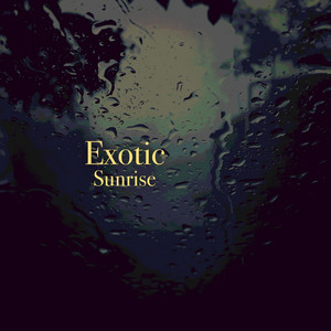 # 1 Album: Exotic Sunrise album