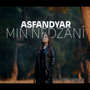 Asfendyar Ahmed - min nedzanî