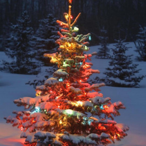 Silent Jazz - Christmas Melodies