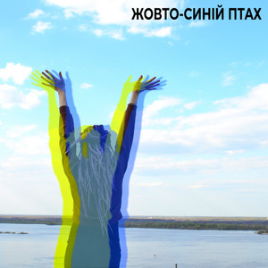 Обкладинка: Жовто-синій птах