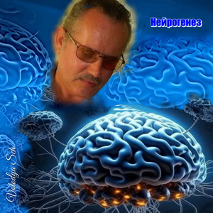 Volodya Sch — Нейрогенез
