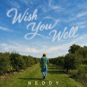 Wish You Well by Neddy