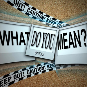 What Do You Mean?