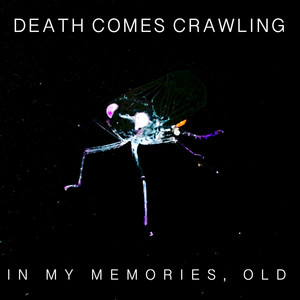 Don't Be So Brave by Death Comes Crawling