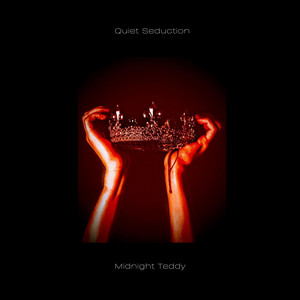 Quiet Seduction by Midnight Teddy