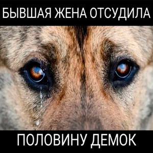 бывшая жена отсудила половину демок by PSYCHOKID