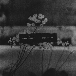 Back To Life by Jonam Breuer
