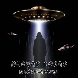muchas cosas by flow de la noche