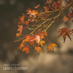 Leaves / Leavings by Teemu Nätynki