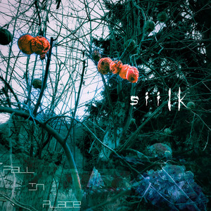 Pulse by Siilk
