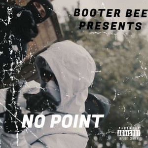 No Point by Booter Bee