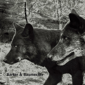 Trans_It by Barker, Baumecker