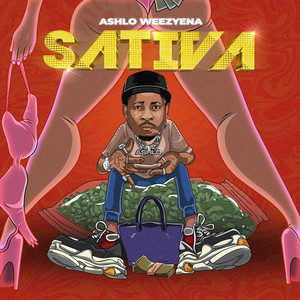 Ashlo - Sativa
