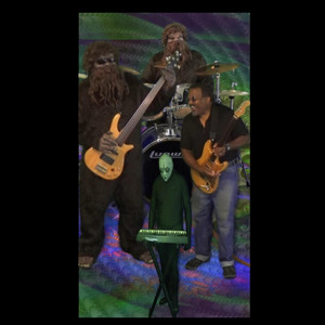 35th Fretless Jam - Unnecessary by Bicycle
