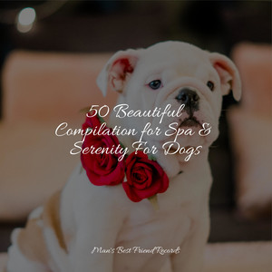 50 Beautiful Compilation for Spa & Serenity For Dogs album