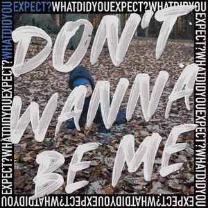 Don't Wanna Be Me by What Did You Expect?