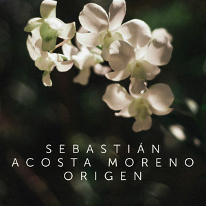 Origen by Sebastián Acosta Moreno