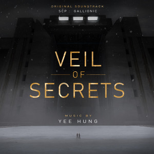 Veil of Secrets by Yee Hung