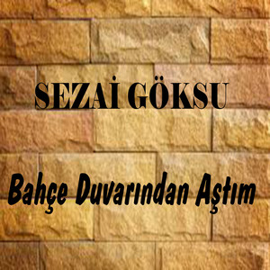Sezai Göksu