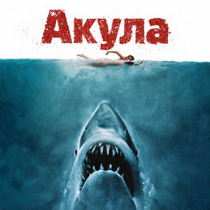 DOMA — Акула