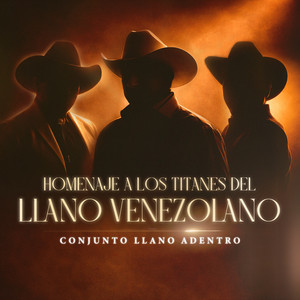 Tiempo Que Se Va No Vuelve by Conjunto Llano Adentro