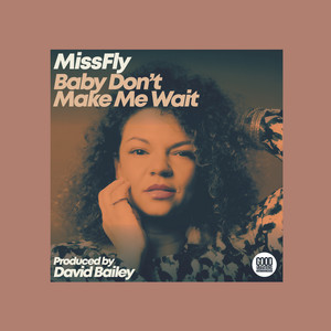 Baby Don't Make Me Wait - Radio Edit by MissFly, David Bailey
