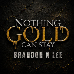 Untold Story by Brandon N Lee