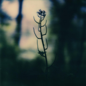Ever Thine by zakè