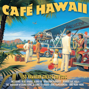 STAND インハワイ 嵐 UP メモリアル ファンツアー HAWAII VHS