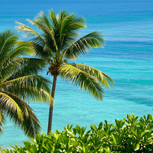 Eulália Margarida - The Museum of Lost Memories