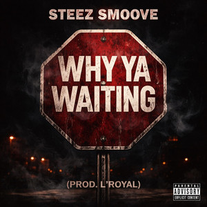 Why ya waiting by Steez Smoove