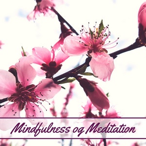 Mindfulness Peace Oasis poster