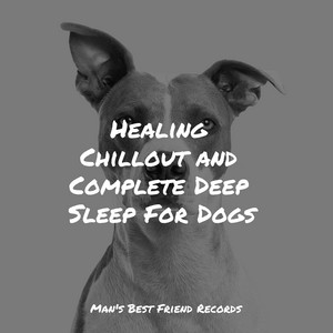 Healing Chillout and Complete Deep Sleep For Dogs album
