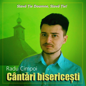 Radu Cimpoi - Sub O Salcie Inalta