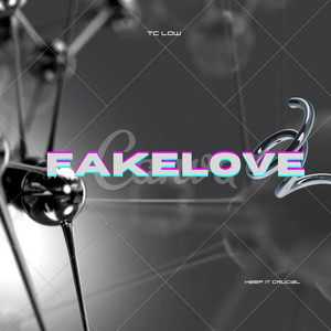 FakeLove by TC Low