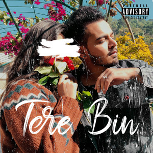 Tere Bin by Nitesh A.K.A Nick