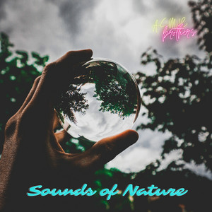 ASMR Brothers - Rain in the Car Relaxing Sounds