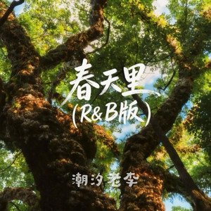 春天里（R&B版） by 潮汐老李