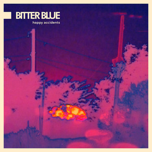 Happy Accidents by Bitter Blue