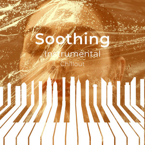 zZz Soothing Instrumental Chillout zZz album