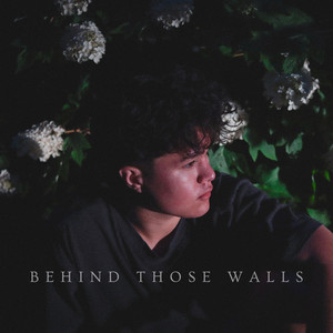 Behind Those Walls by Max Cunningham