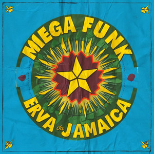 DJ SANTOS SC - MEGA FUNK ERVA DA JAMAICA