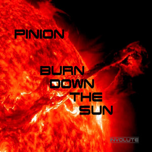 Pinion cover