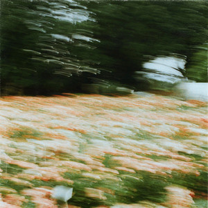 Changing Forest by Midnight Hour, RINZ.