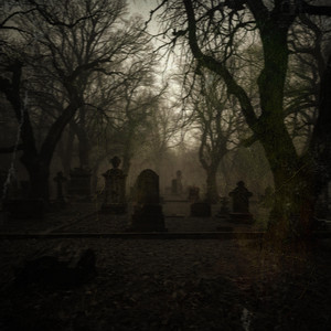 Crypt by Cokasian