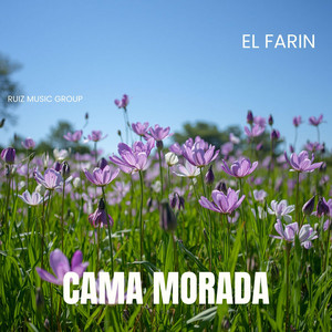 Cama morada by El Farin