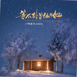 等不到曾经的她（北方的雪不会在南方落下） by 唐光峰
